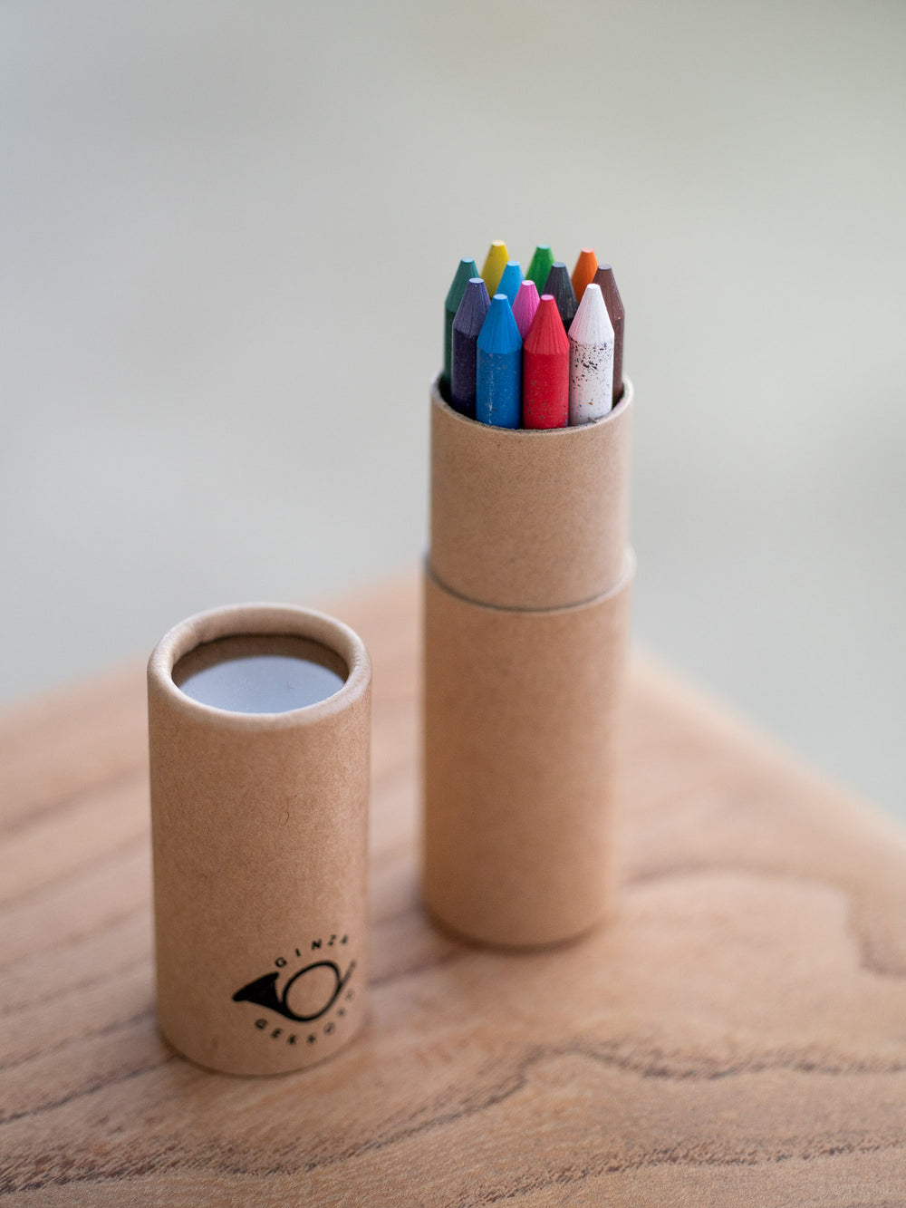Gekkoso Colour Pencil Set