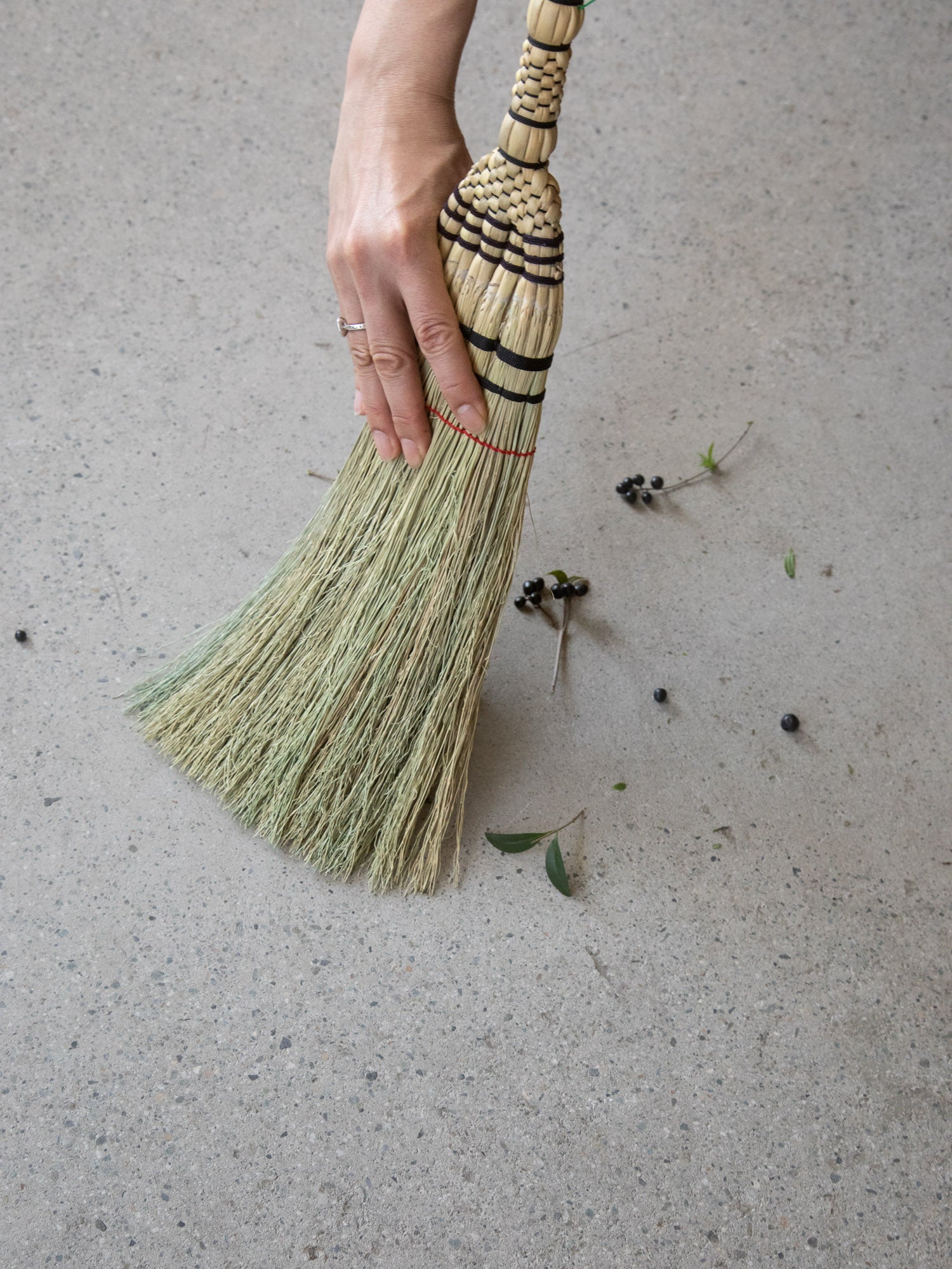 Gunma Small Broom