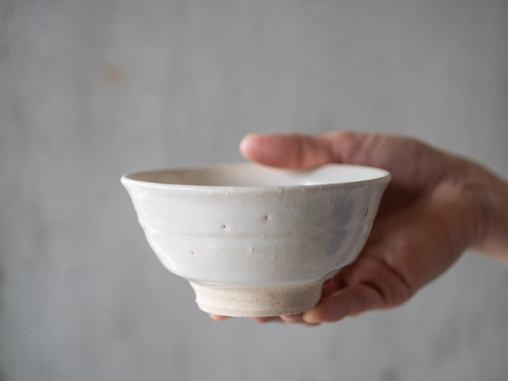 Iga Rice Bowl – Shino