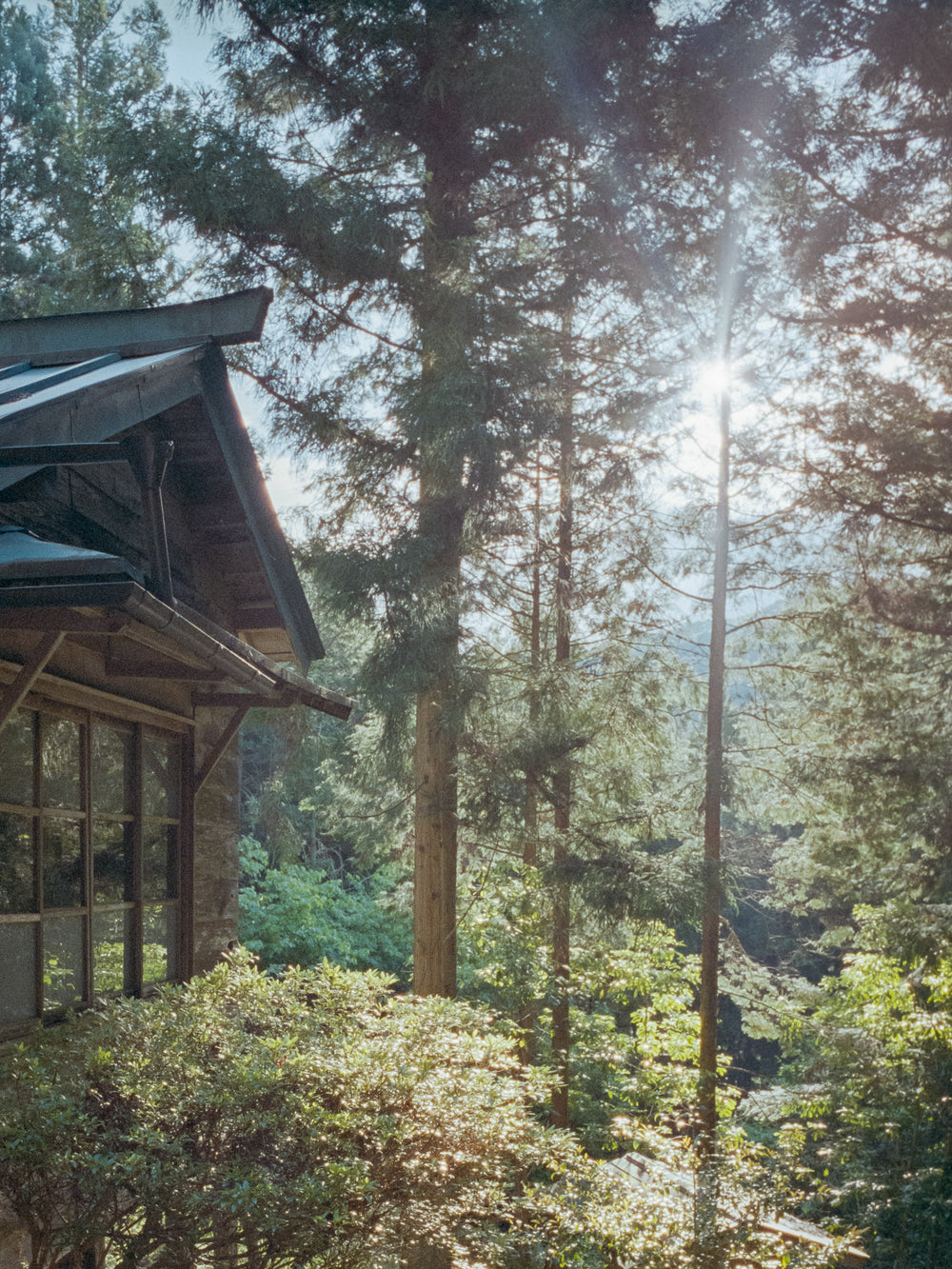 Tennen Incense - Hinoki (Cypress)