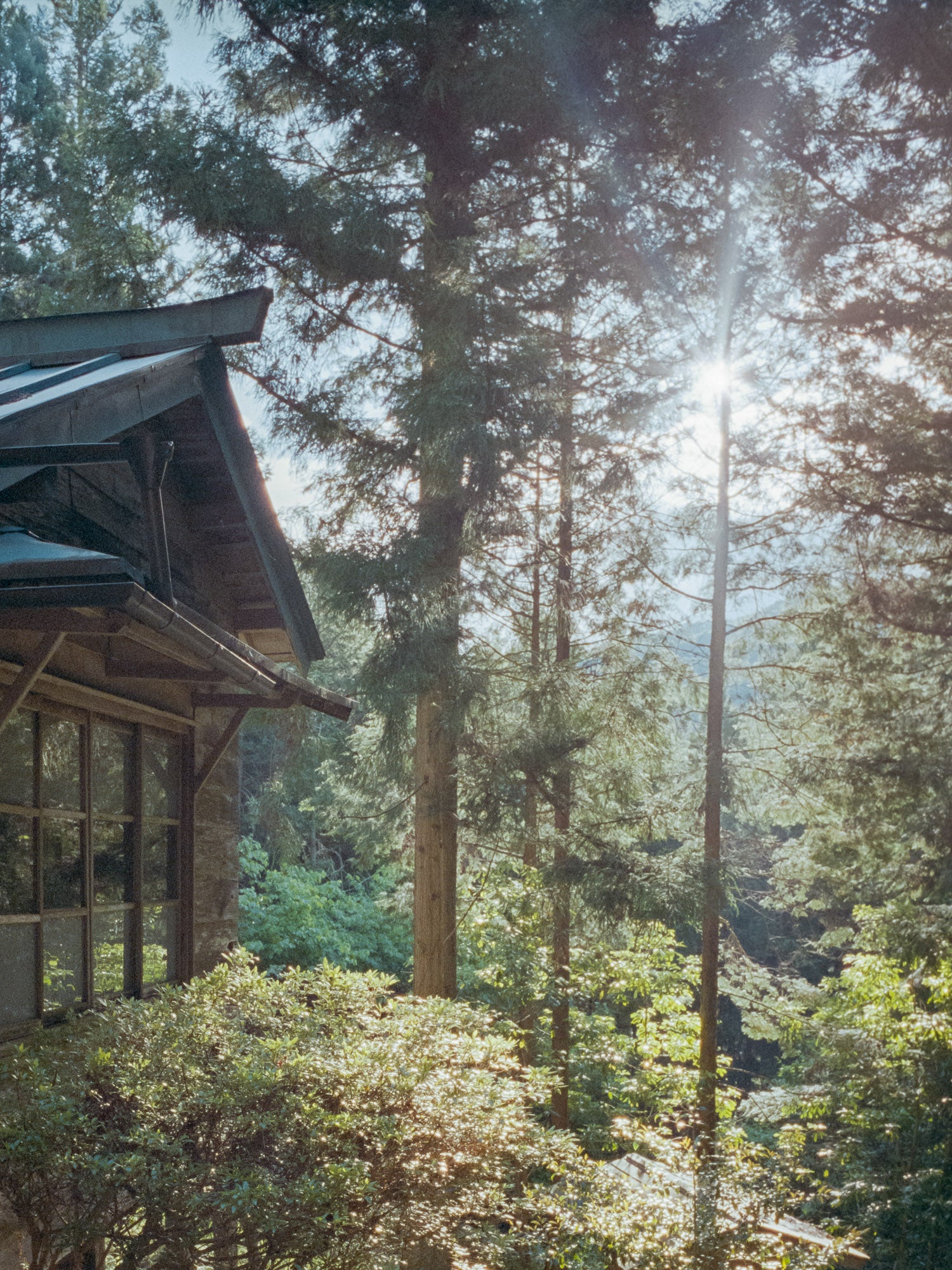 Tennen Incense - Hinoki (Cypress)