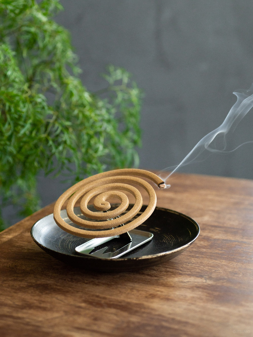 Kikka Senkoh Mosquito Coil Incense – Regular