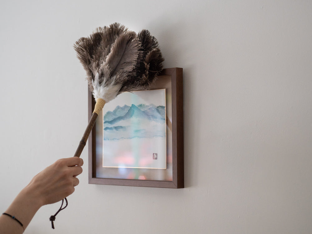 Ostrich Feather Duster – M