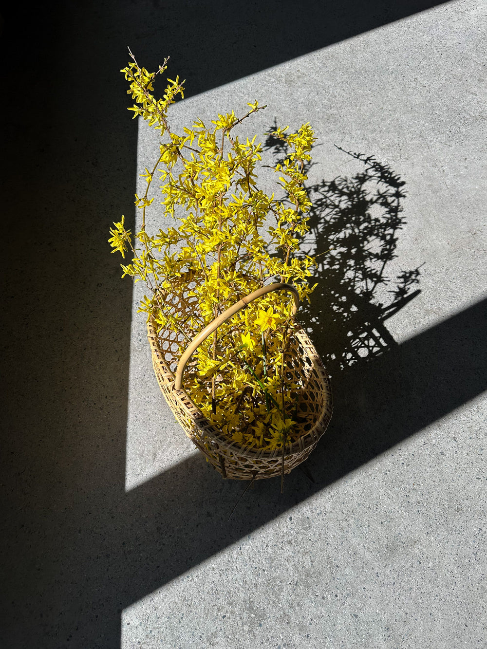 Nemagari Apple Basket