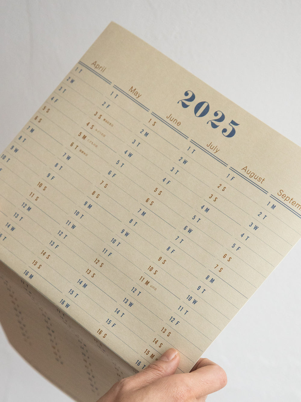 2025 One Year Wall Calendar