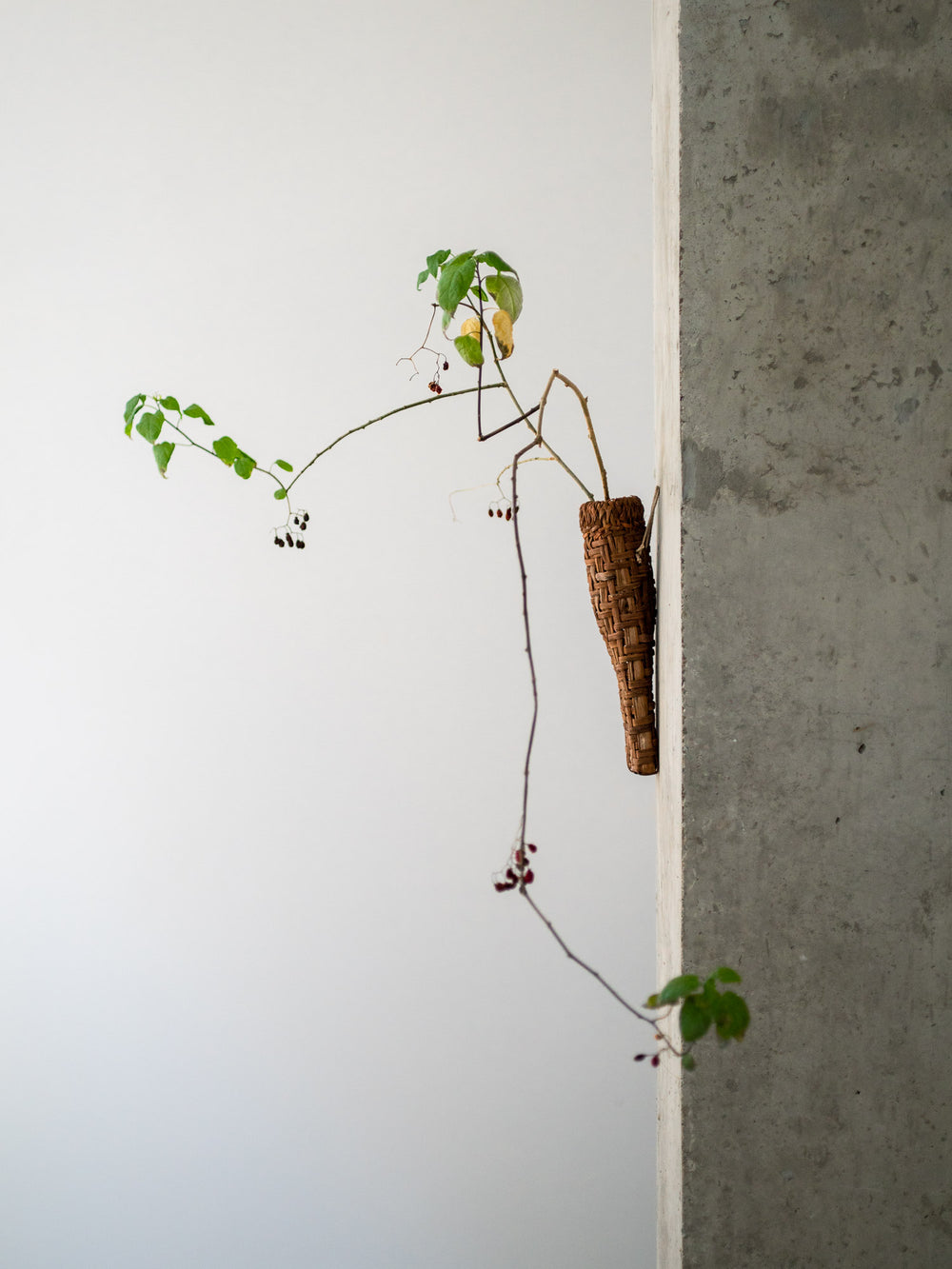 Yamabudou Grapevine Hanging Basket