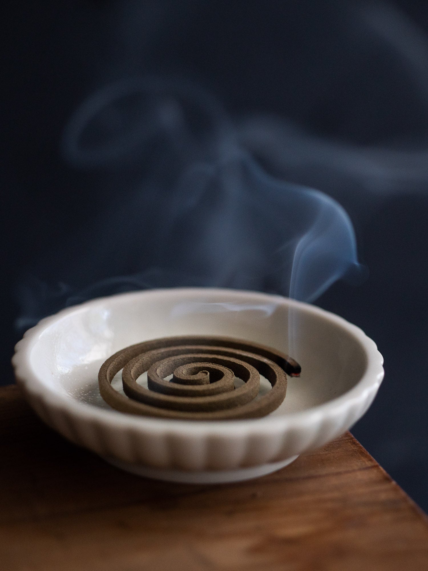 Yamadamatsu Rakuen Incense Coil – Gyoka